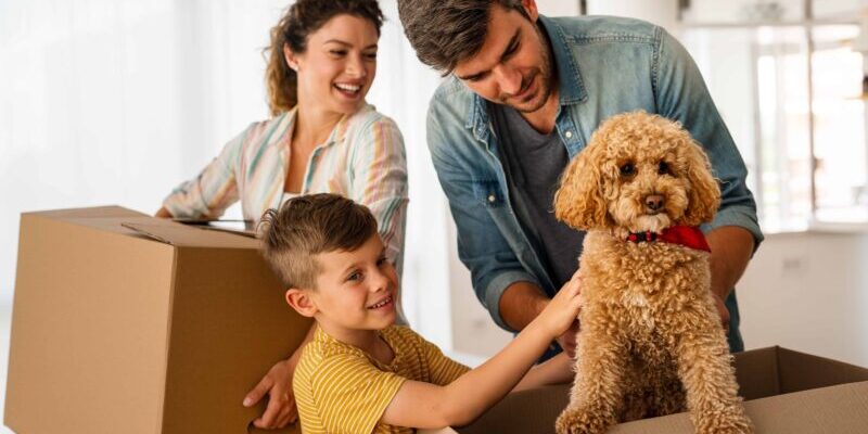happy family moving with boxes in a new house